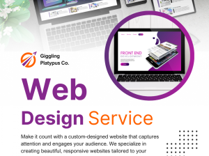 Affordable CMS Website Development Company with Proven Results