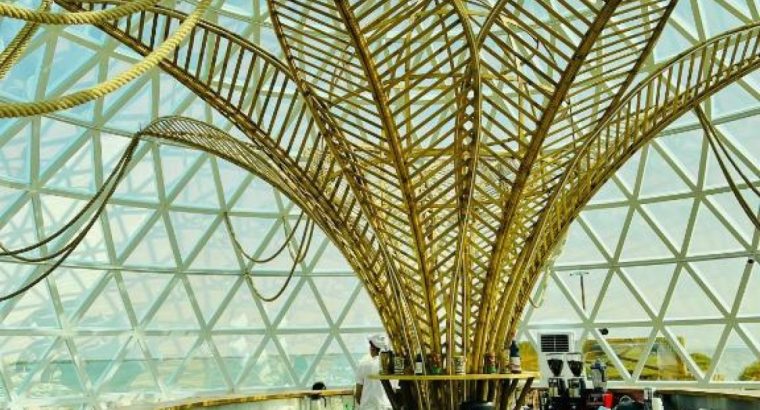 Tourist Sites in Dubai | Sharjah Tourist Spot | Kayaking Dubai