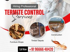 Best Termite Control Services in Hyderabad