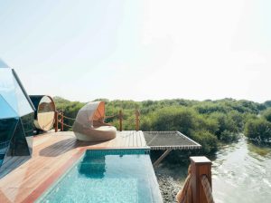 Top 10 Luxury Hotels in Dubai | Dubai Mangrove Resort Price