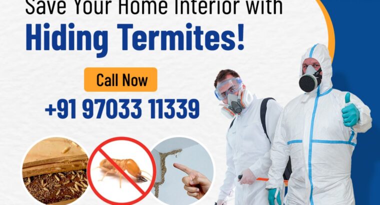 Termite Control Services