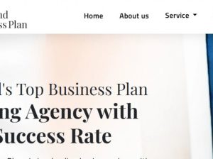 Business Plan Writers In Ireland