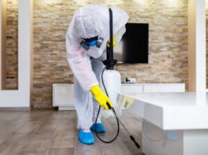 Commercial Pest Control Services in Hyderabad