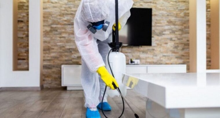 Commercial Pest Control Services in Hyderabad