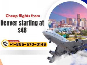 Cheap Flights from Denver Starting at $48 | Dial +1-855-570-0146