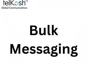 Flexible Bulk Messaging Service for Enterprises