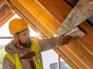 McKinney Attic Insulation pros