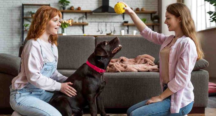 How to Post a Free Pet Classified in India That Gets Real Responses