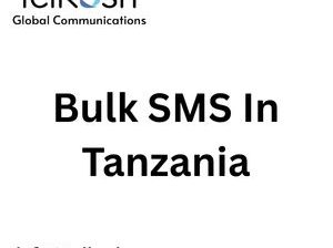 Affordable Bulk SMS In Tanzania Solutions