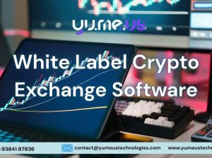 Launch A Brand-New Crypto Exchange Platform