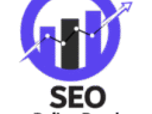 SEO Bolingbrook