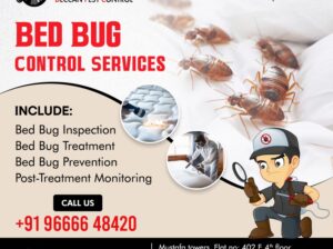 Best Bed Bug Control Services in Hyderabad