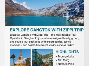 Best Tour Operator in Gangtok | Zippi Trip