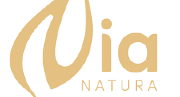 Buy Sunflower Seeds Online