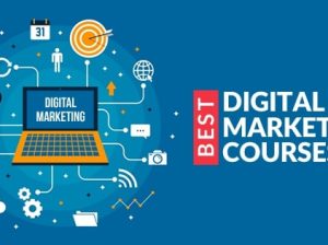 Best Digital Marketing Training in Noida with Placement