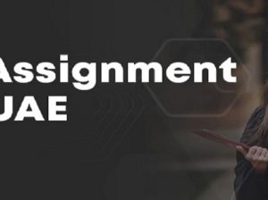 MBA Assignment Help UAE
