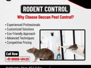 Best Rodent Control Services In Hyderabad