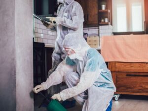 Pest Control Service in Melbourne