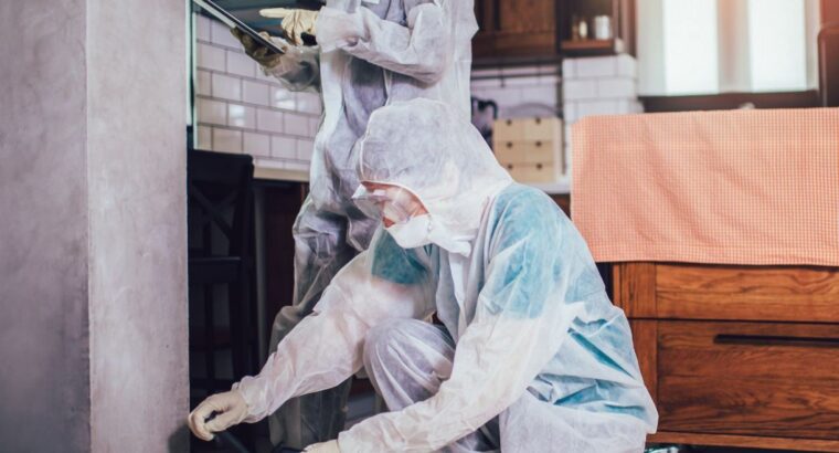 Pest Control Service in Melbourne