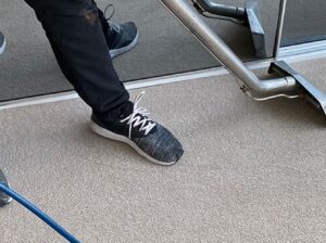 Freshen Up Your Floors with Expert Carpet Cleaning in Melbourne