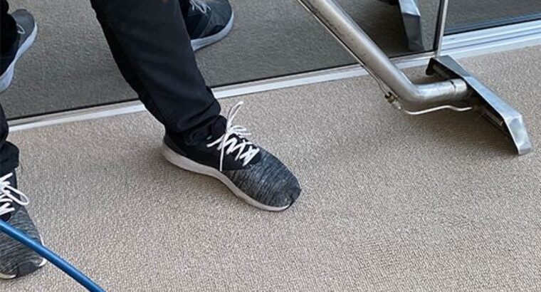 Freshen Up Your Floors with Expert Carpet Cleaning in Melbourne