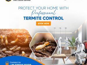 Termite Control Services in Hyderabad