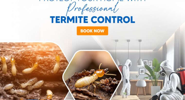 Termite Control Services in Hyderabad