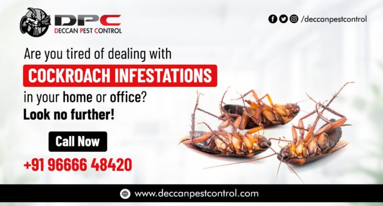 Best Cockroach Control Services in Hyderabad