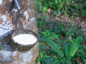 Buy natural latex mattress | Comfort mattress