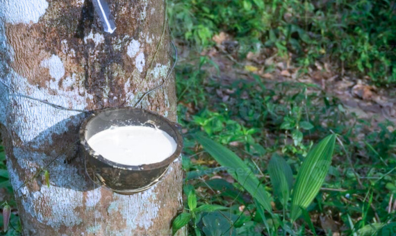 Buy natural latex mattress | Comfort mattress