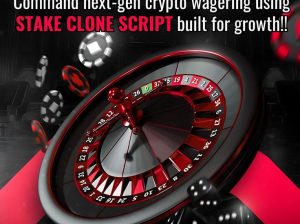 Affordable Stake Clone Script – Whitelabel Casino Solution for Rapid Launch!