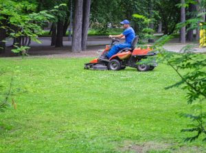 Expert Lawn Care Solutions for a Healthy Green Lawn