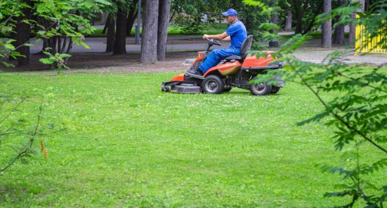 Expert Lawn Care Solutions for a Healthy Green Lawn
