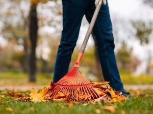 Professional Spring Cleaning Services in Brisbane Homes