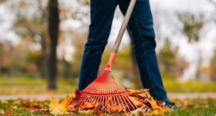 Professional Spring Cleaning Services in Brisbane Homes