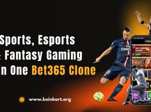 Sports, Esports & Fantasy Gaming: All in One Bet365 Clone