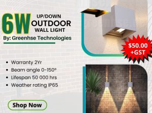 Buy 6W Up/Down LED Outdoor Wall Light in Perth