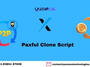 Paxful Clone Script For Faster Deployment!