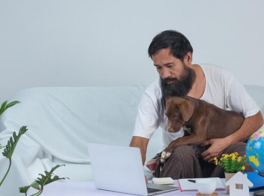 Top 5 Tips for Posting a Free Pet Classified in India