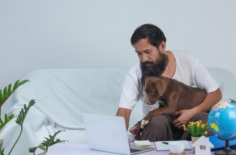 Pet Classified ads in India