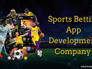 How Sports Betting Software Development Works step-by-step