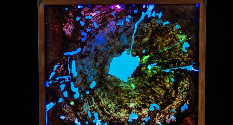 Exclusive Wall Art | Unique Designs for Boutique-Style Interiors