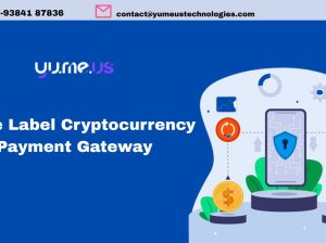 Accept Crypto Payments With White Label Crypto Payments Gateway!