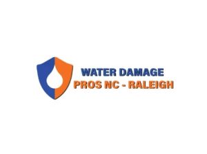 the Water Damage Pros Raleigh nc