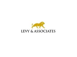 Levy & Associates