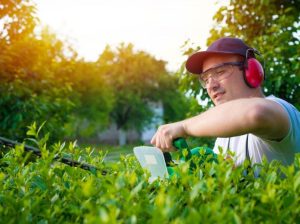 Expert Gardening Services in Parramatta for a Lush Yard