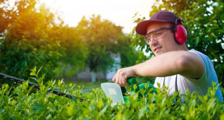 Expert Gardening Services in Parramatta for a Lush Yard