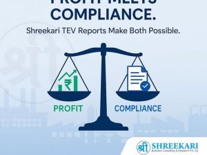 TEV***Study : Navigating***Density***and***Regulatory***Complexity