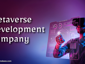 Best***Metaverse***Development***Services***Provider***in***USA