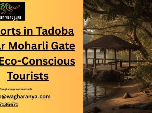 Resorts***in***Tadoba***Near***Moharli***Gate***for***Eco-Conscious***Tourists